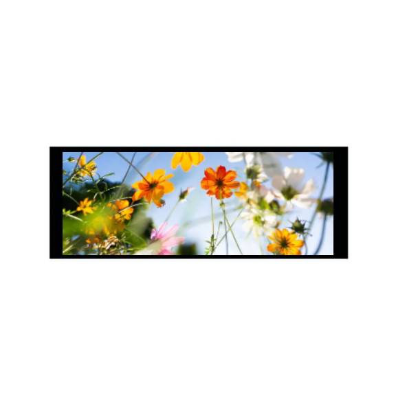Mô -đun TFT 6,86 inch 480 × 1280